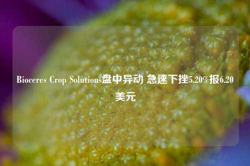 Bioceres Crop Solutions盘中异动 急速下挫5.20%报6.20美元