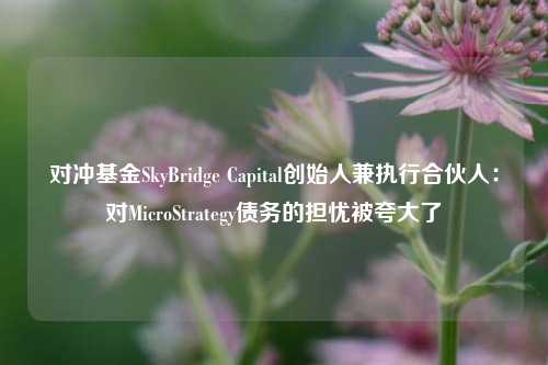 对冲基金SkyBridge Capital创始人兼执行合伙人：对MicroStrategy债务的担忧被夸大了